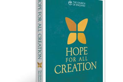 hfac_3d_book_with_spine_copy.jpg
